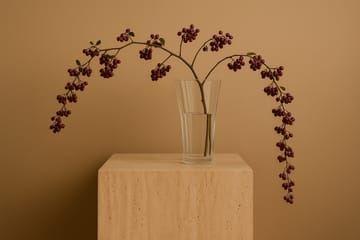 Liliané βάζο 28 εκ. - Clear - Cooee Design