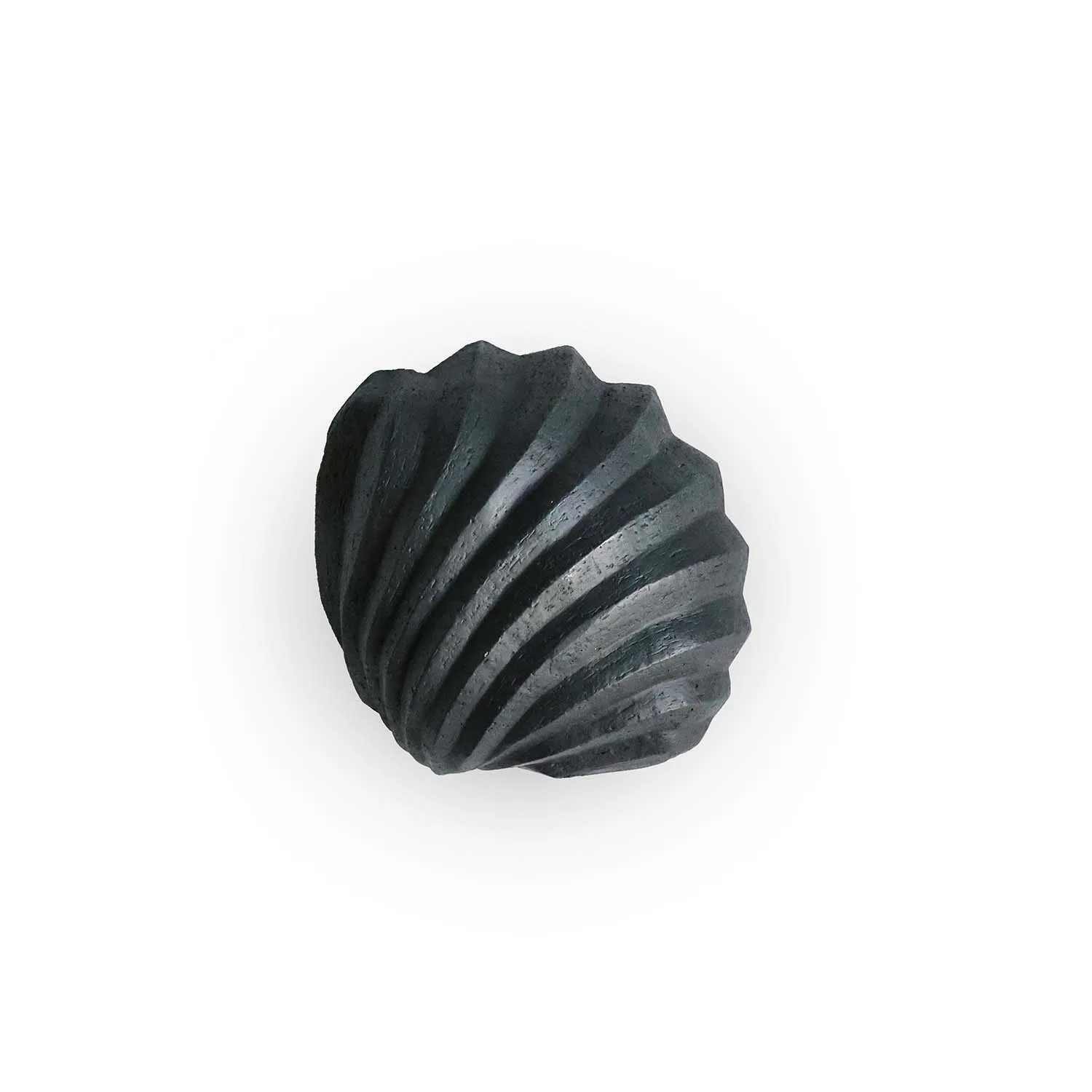 The Clam Shell γλυπτό 13 cm, Κάρβουνο Cooee Design