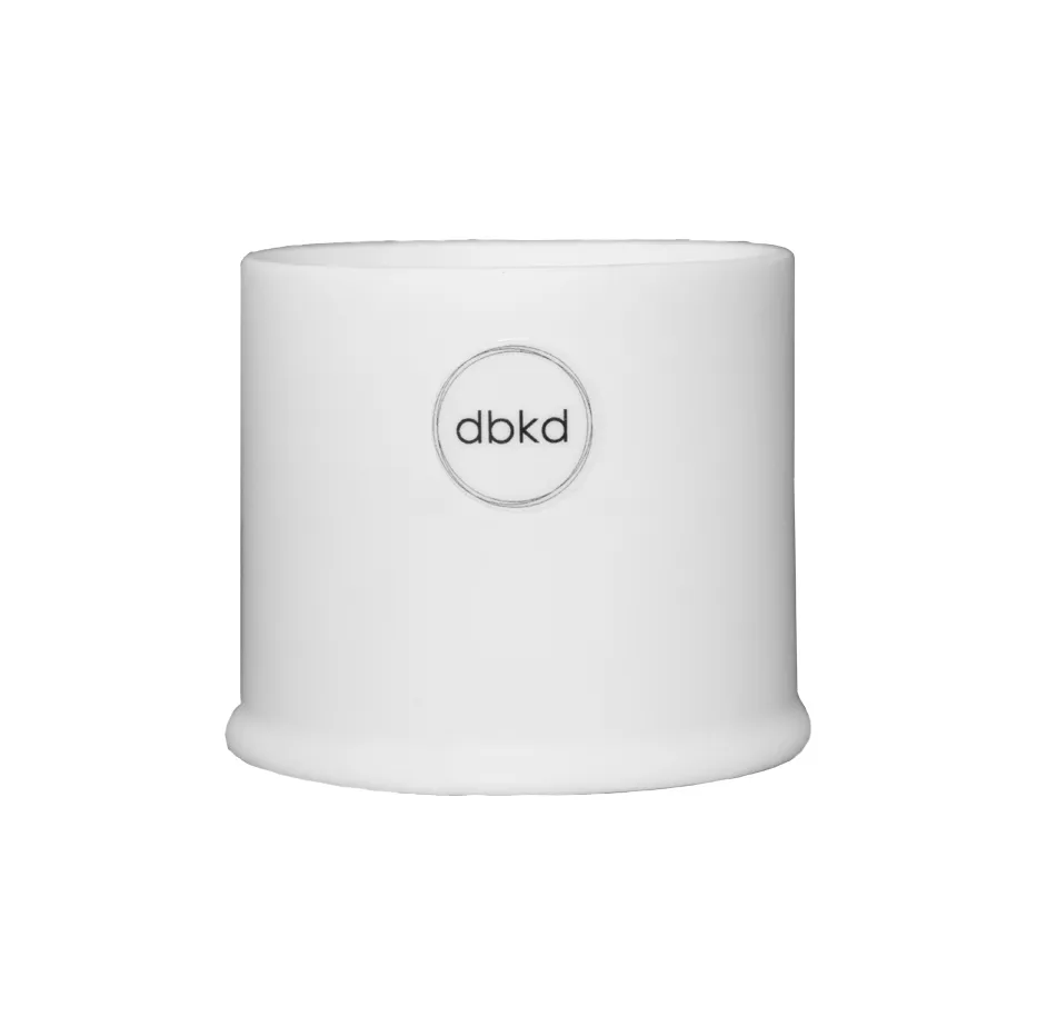 Astillbe γλάστρα μικρή, Λευκό DBKD