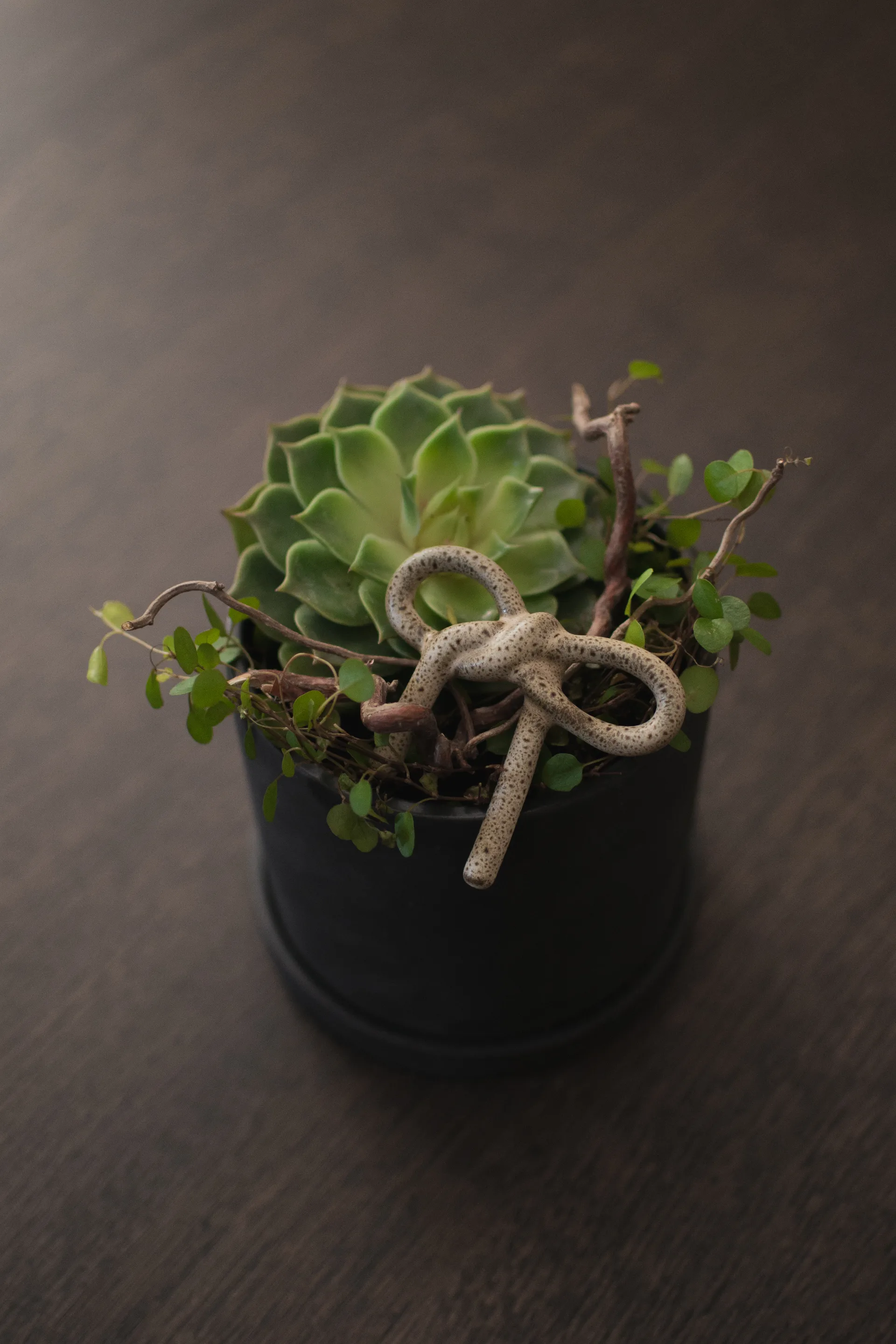 Bow διακόσμηση λουλουδιών, Beige DBKD