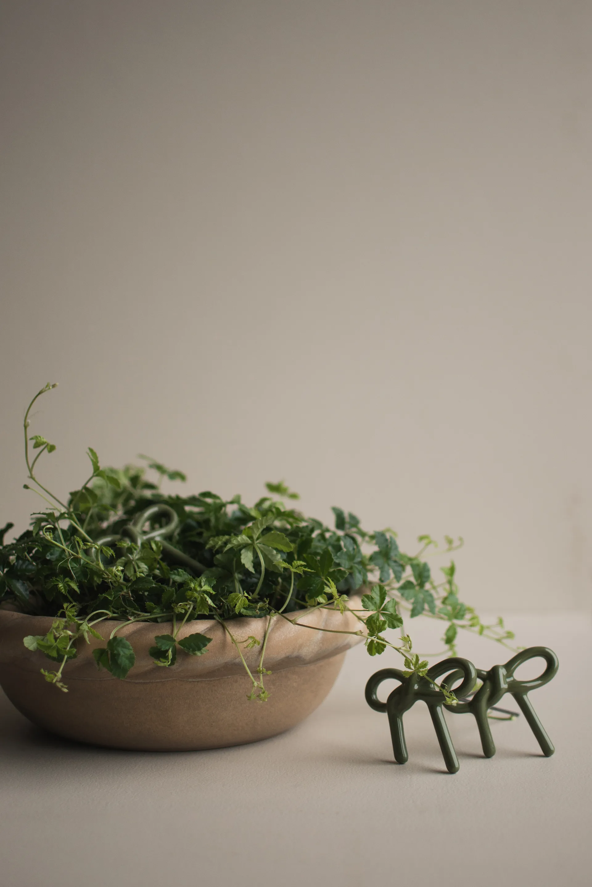 Bow διακόσμηση λουλουδιών, Shiny green DBKD