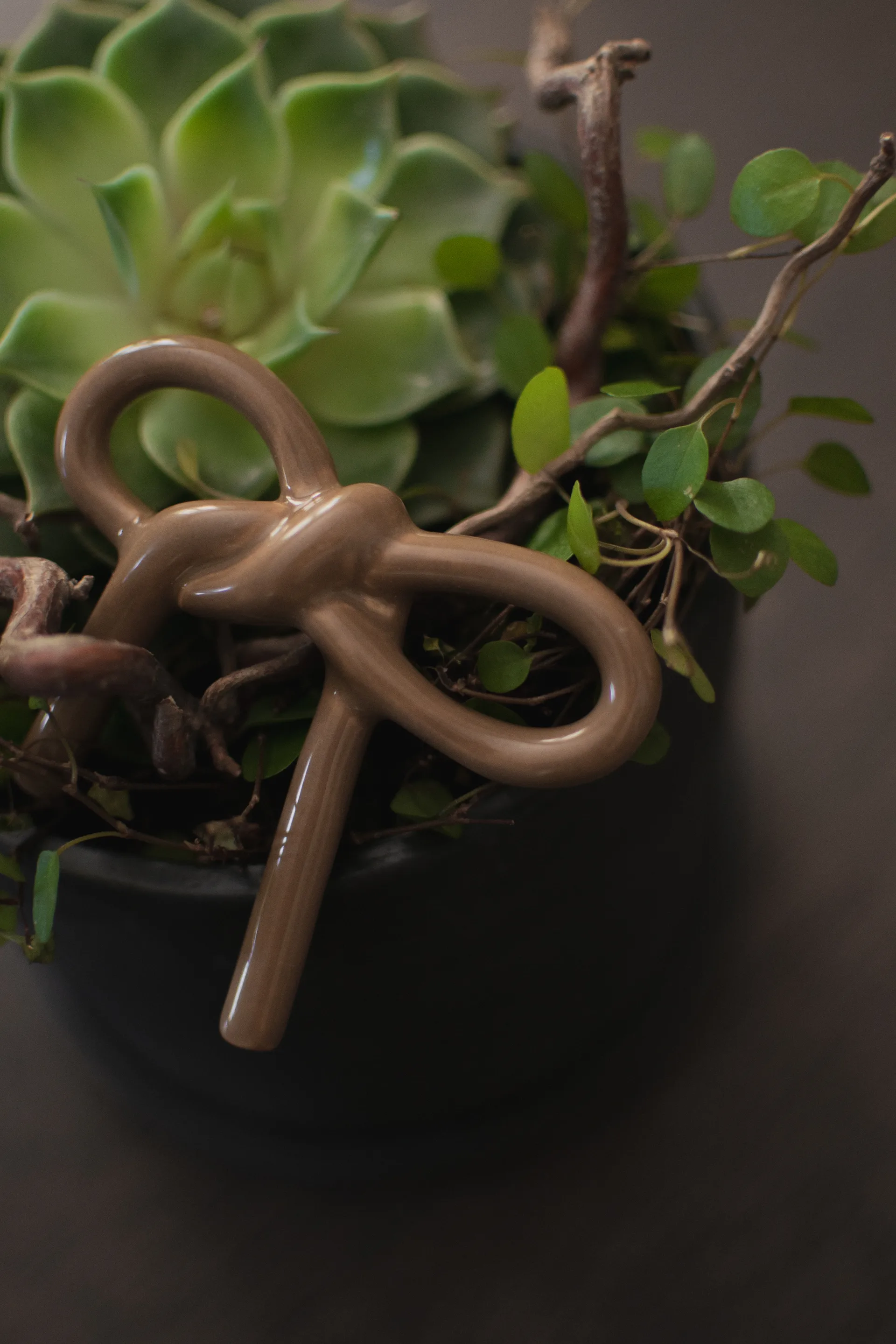 Bow διακόσμηση λουλουδιών, Shiny nougat DBKD