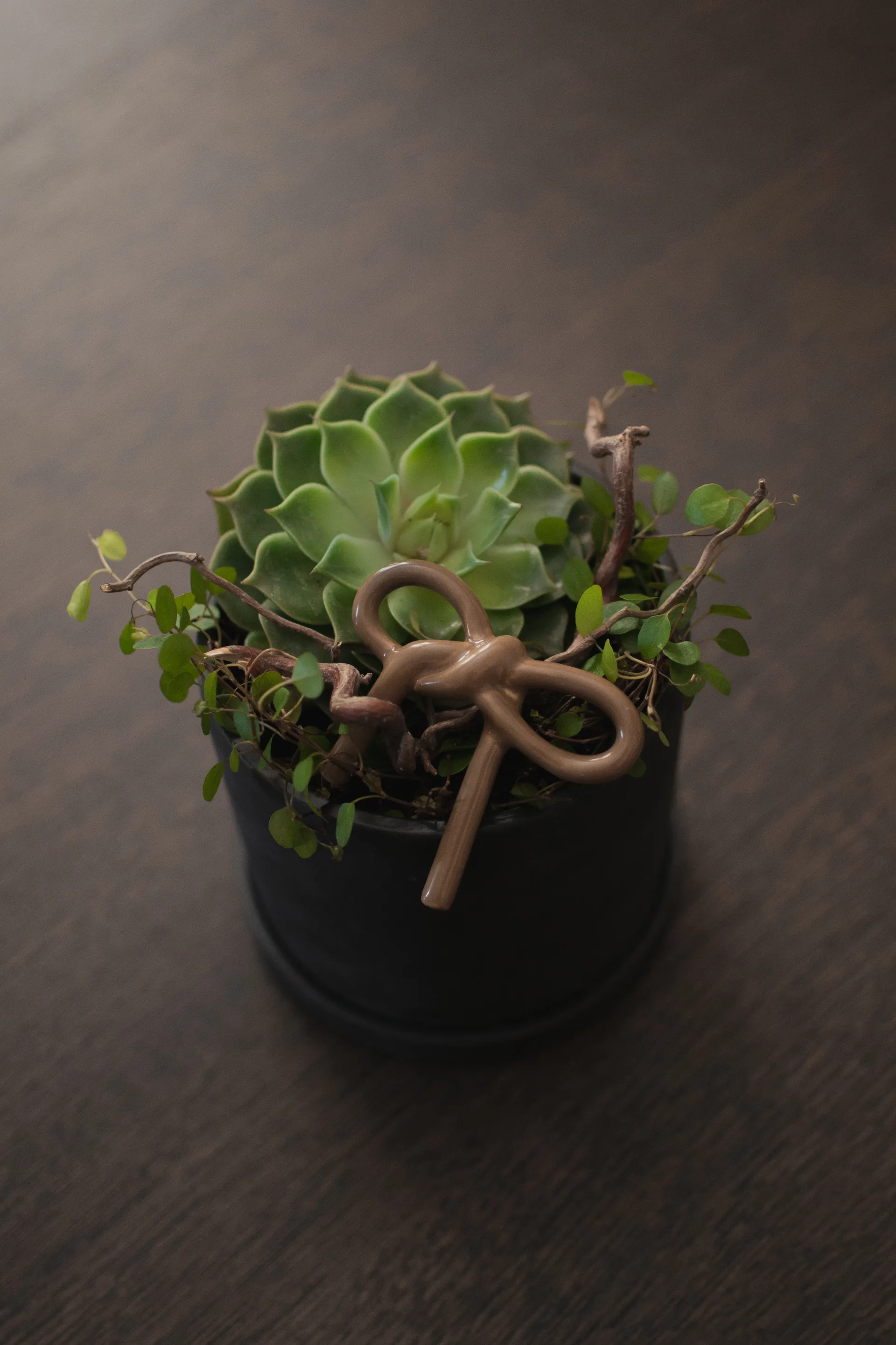 Bow διακόσμηση λουλουδιών, Shiny nougat DBKD