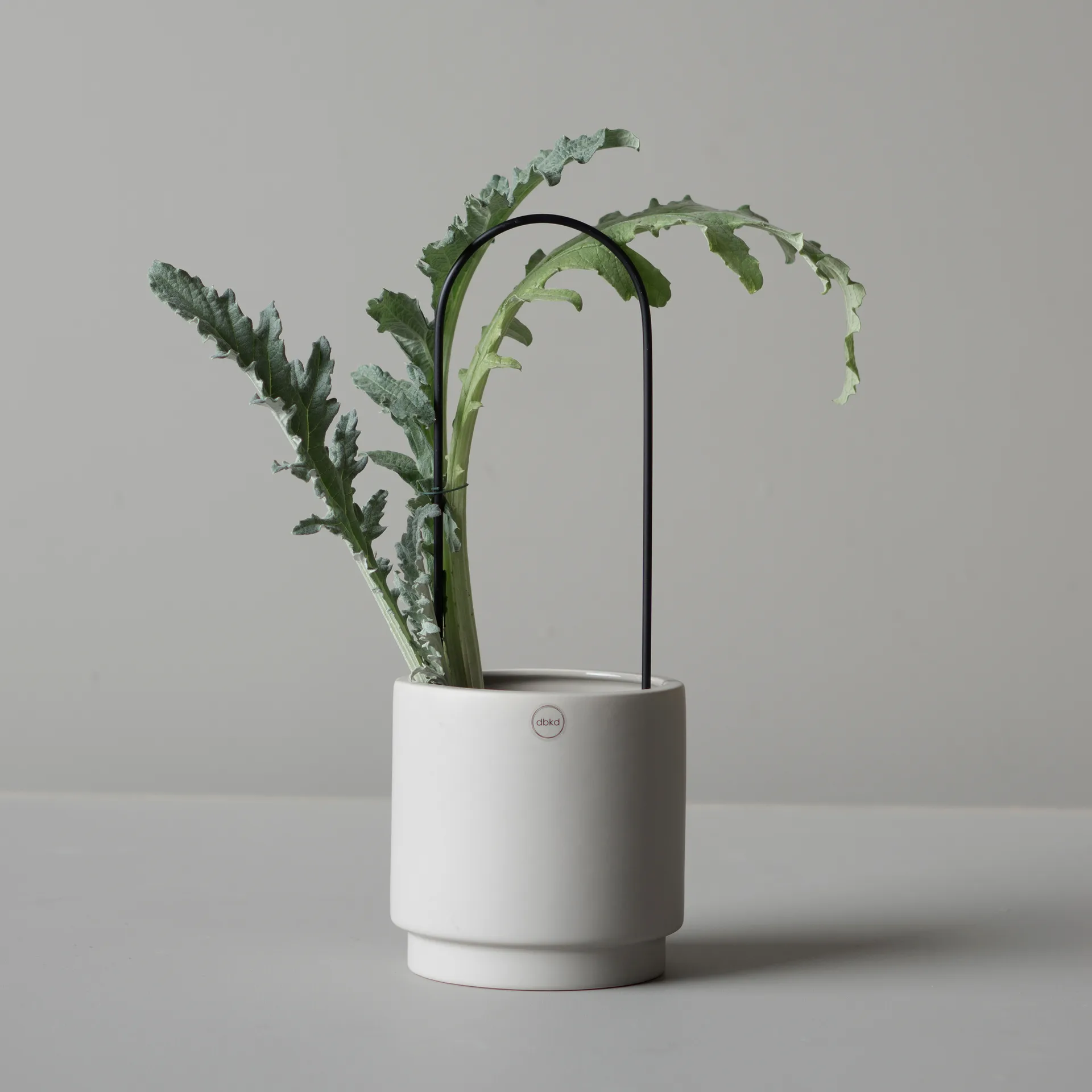 DBKD αψίδα για λουλούδια, Μαύρο DBKD