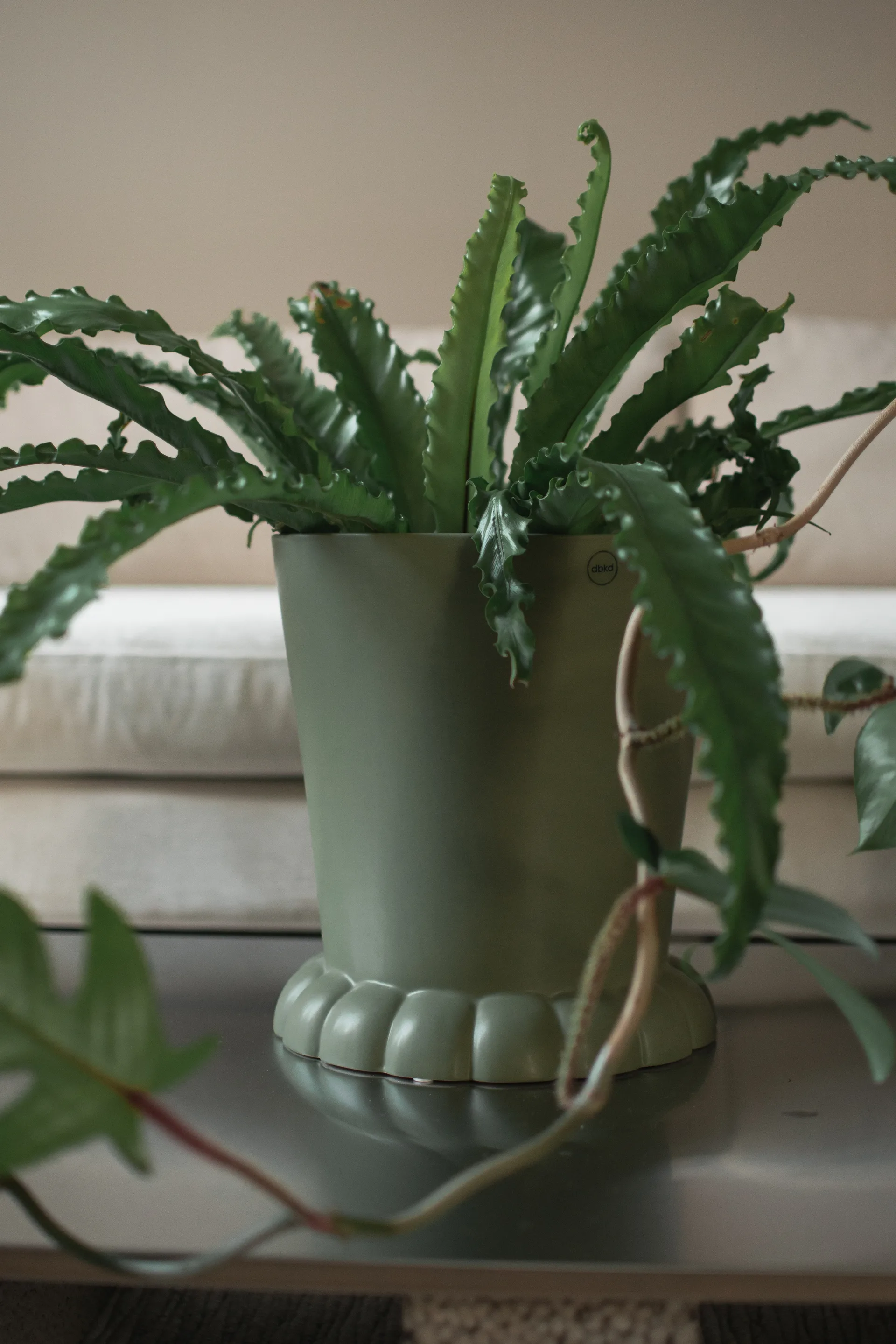 Γλάστρα Flora Ø25 εκ., Green DBKD