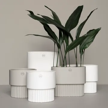 Front γλάστρα οβάλ χαμηλή - λευκό - DBKD