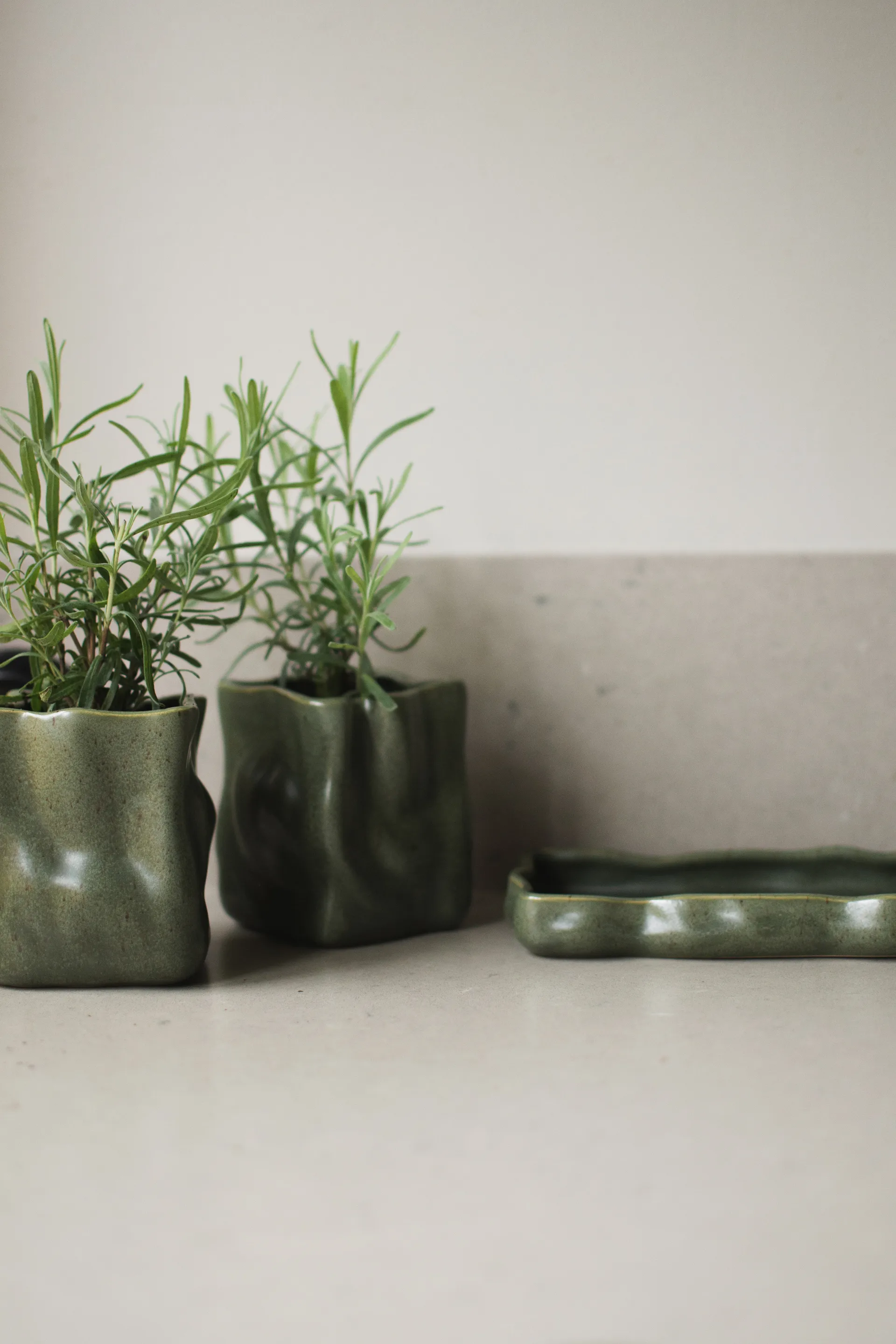 Γλάστρα Herb 3 τεμάχια, Moss DBKD