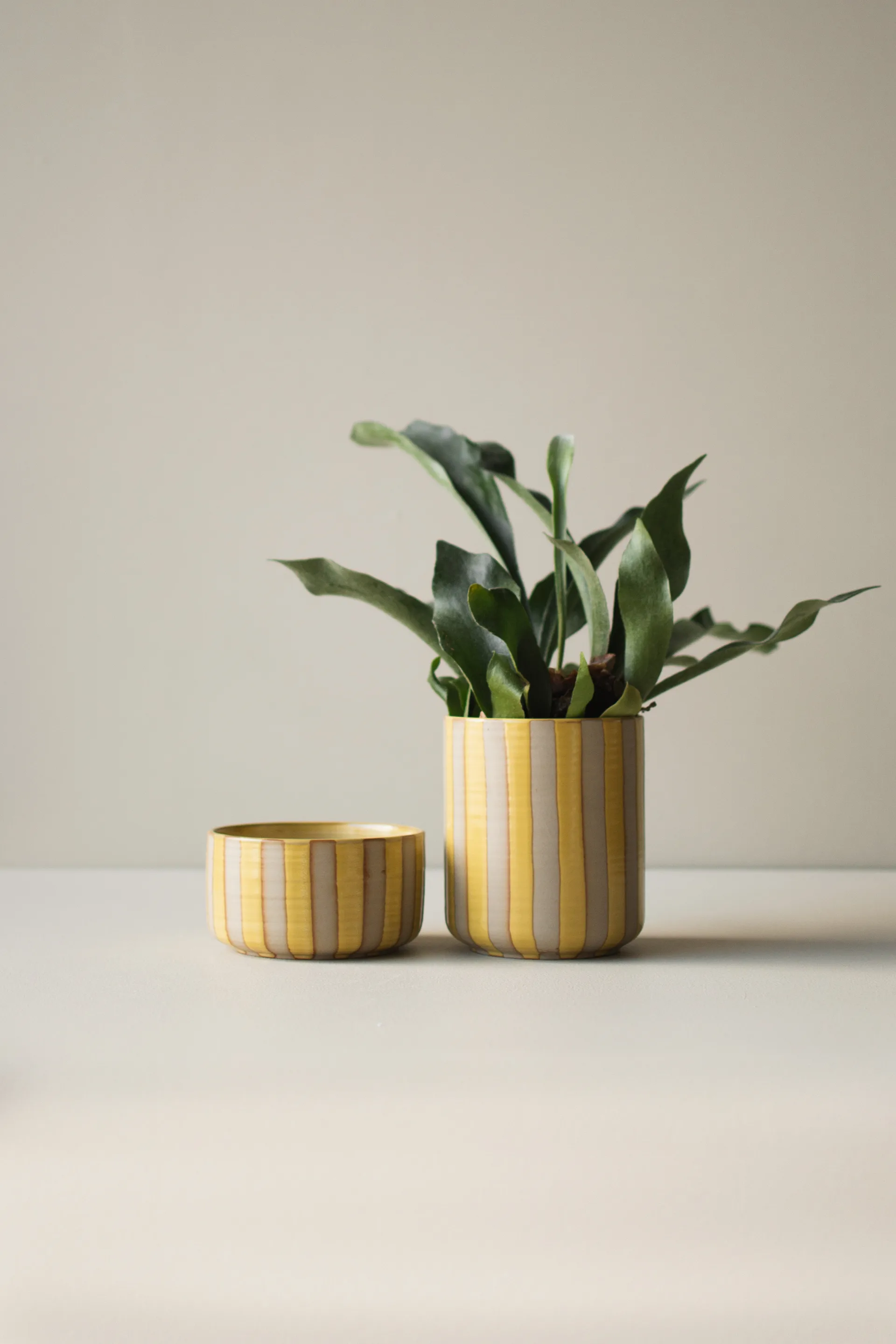 Line γλάστρα Ø14x16 εκ., Yellow DBKD