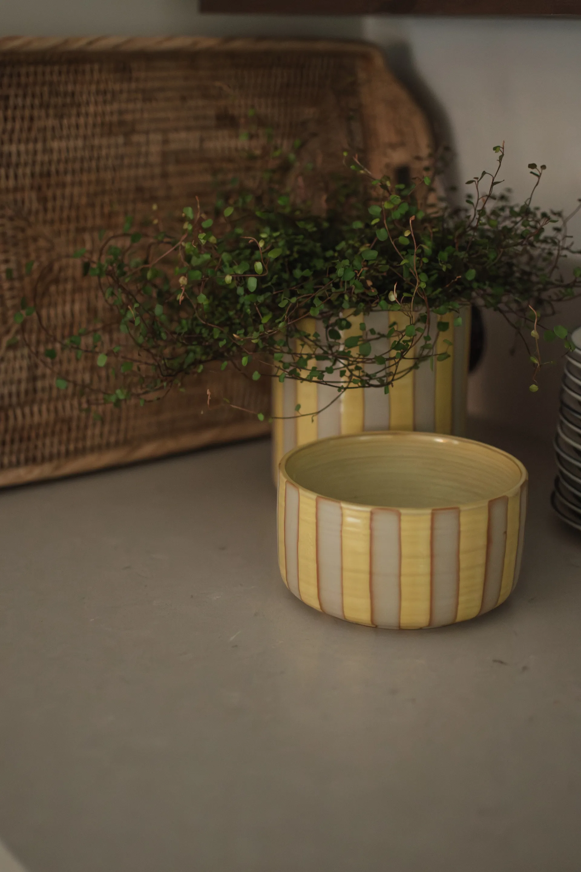 Line διακοσμητικό μπολ Ø16 cm, Yellow DBKD