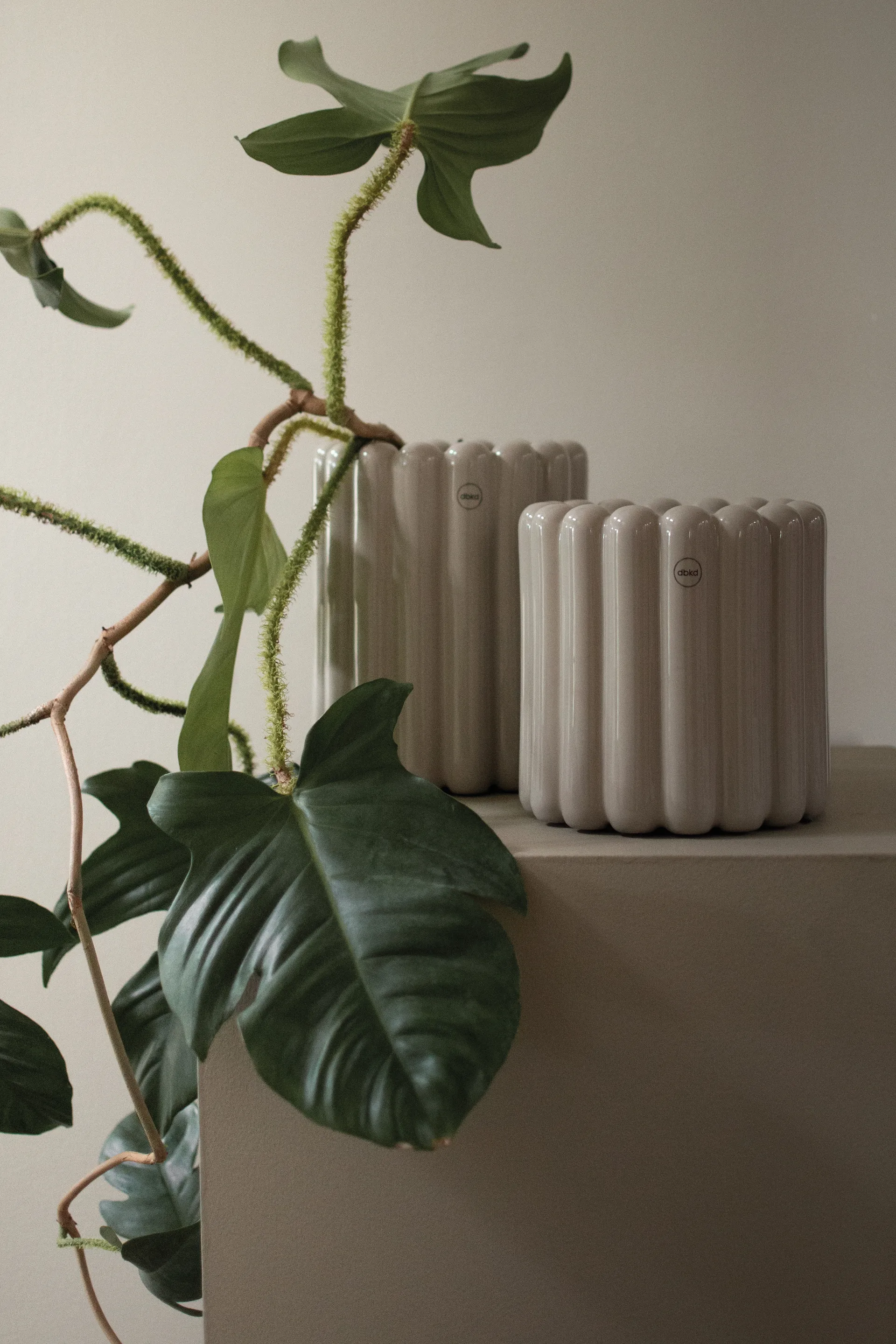 Mist γλάστρα μικρή Ø19x19 cm, Shiny mole DBKD