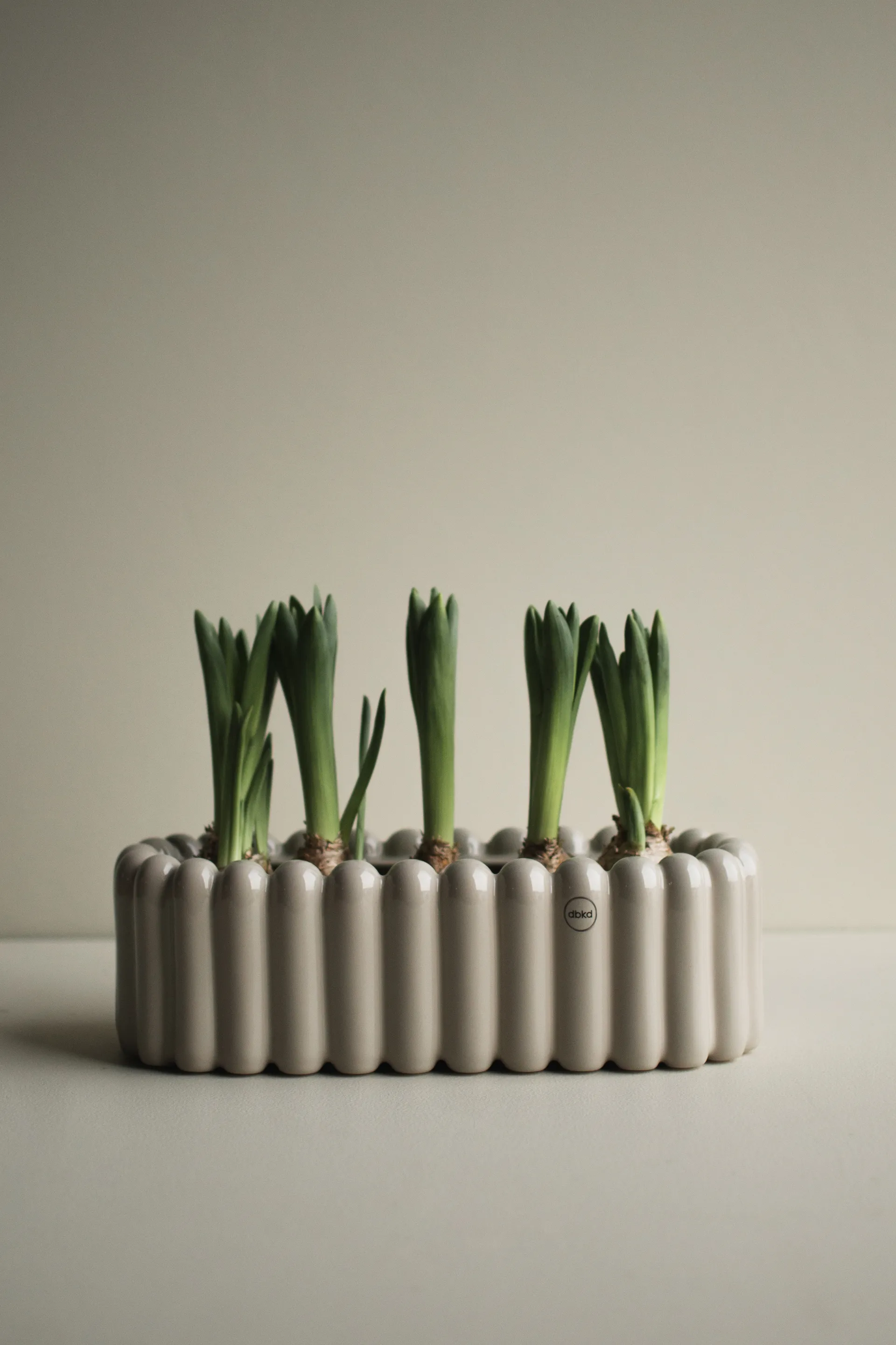 Mist γλάστρα οβάλο μικρή Ø35 cm, Shiney mole DBKD