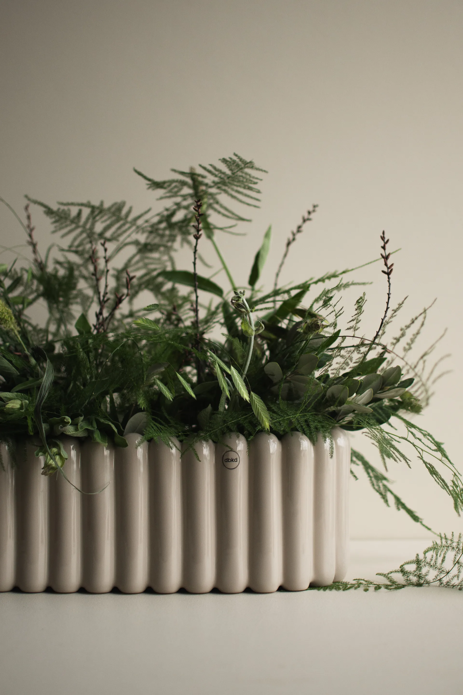 Mist γλάστρα οβάλ, Shiny mole DBKD