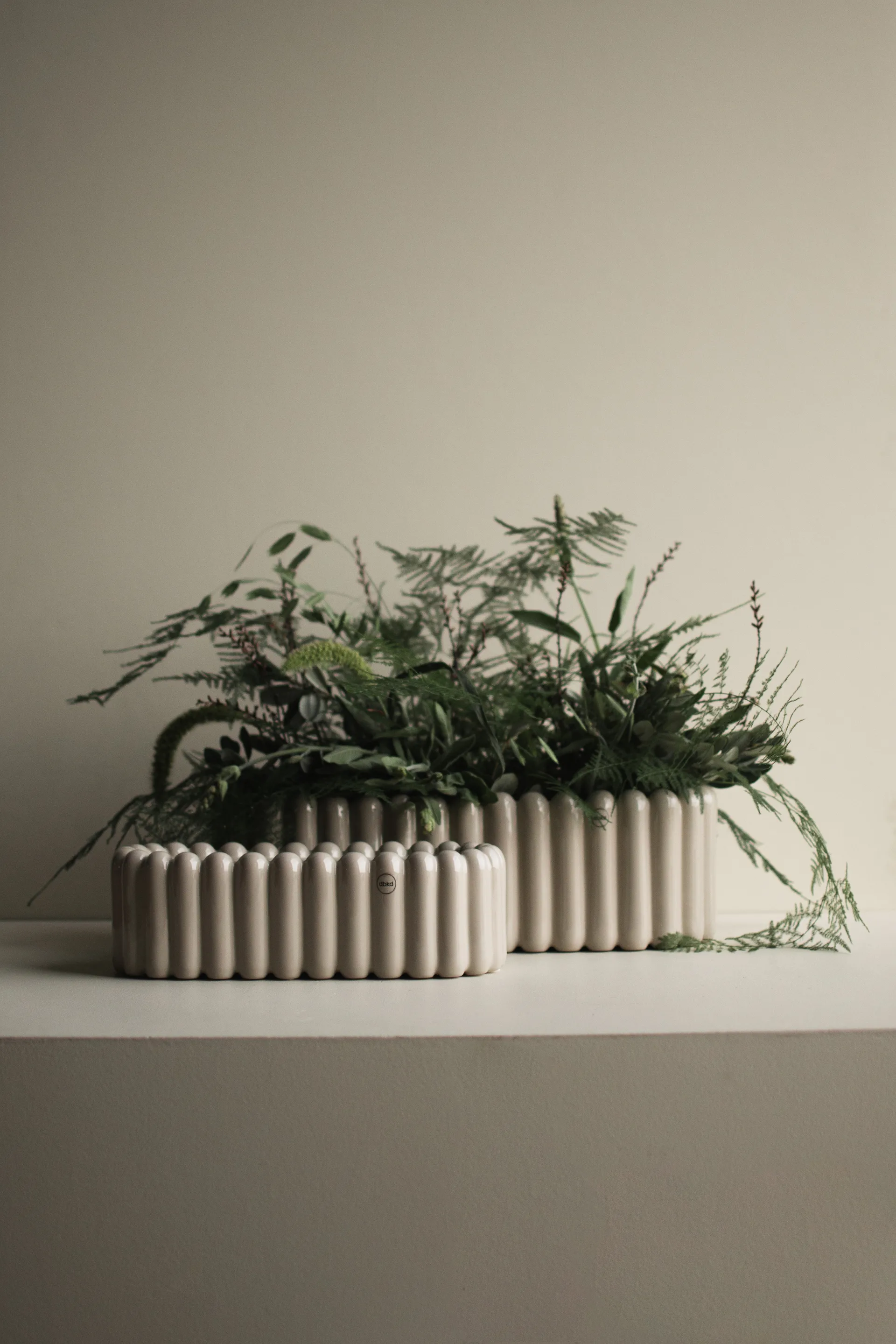 Mist γλάστρα οβάλ, Shiny mole DBKD