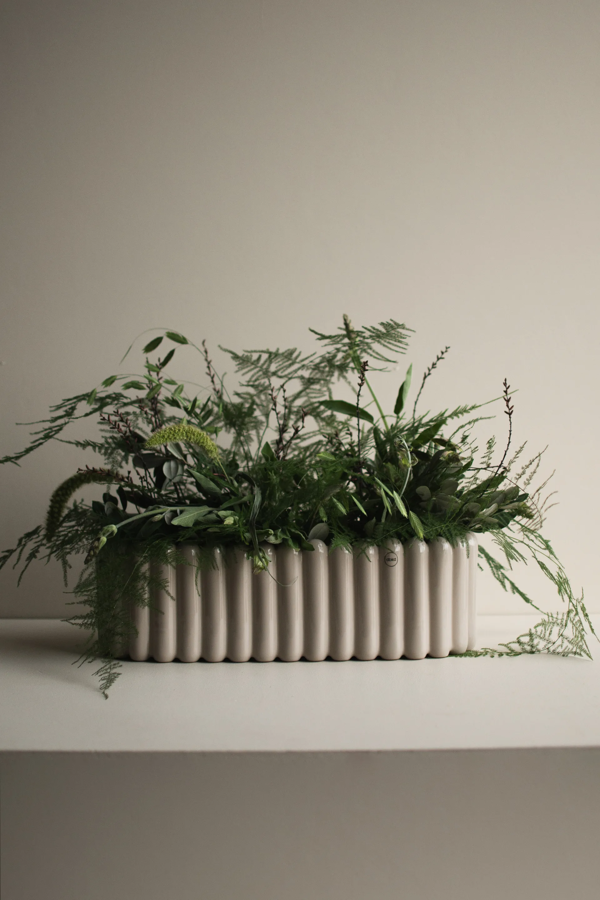 Mist γλάστρα οβάλ, Shiny mole DBKD