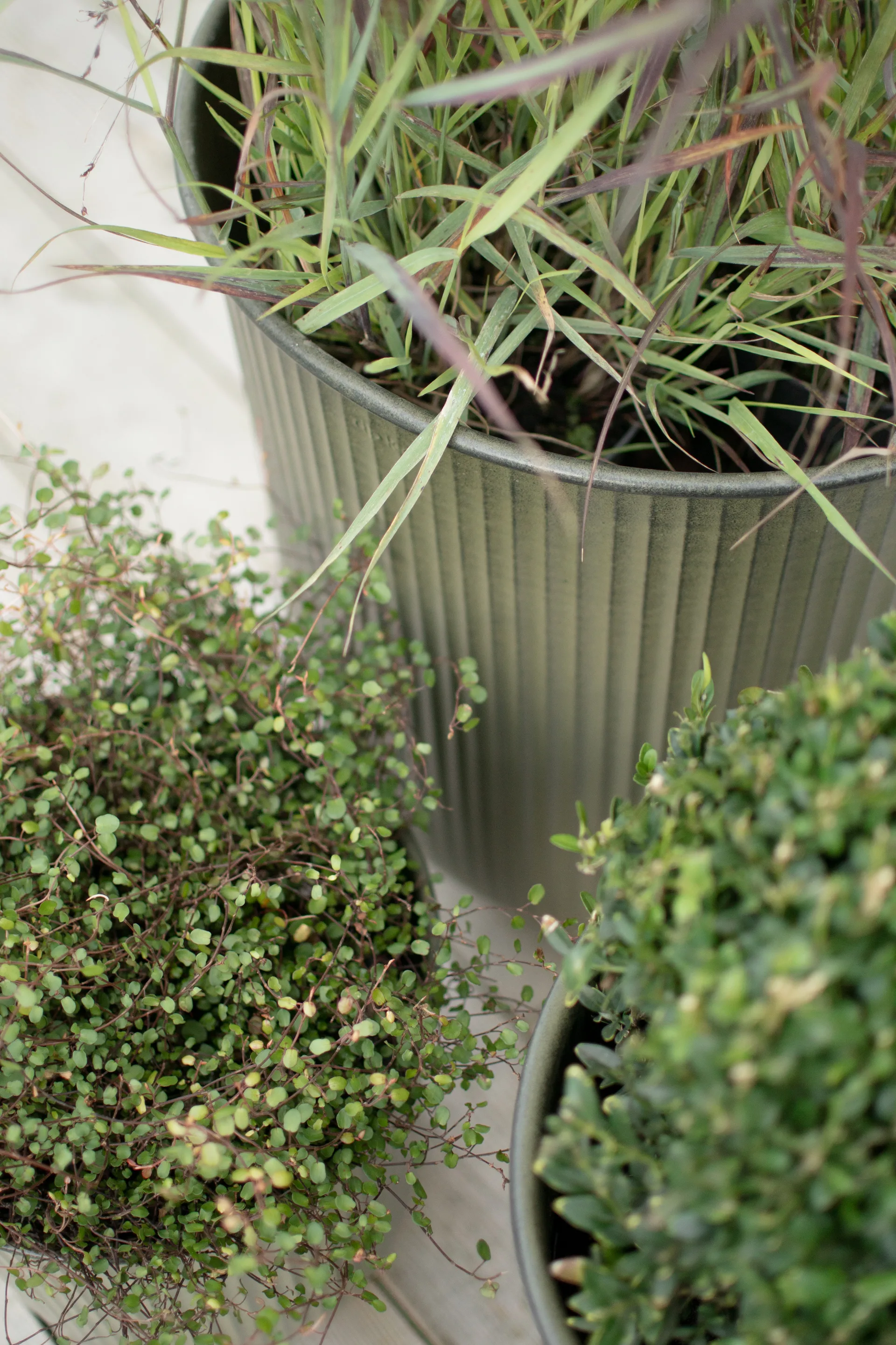 Κεραμικό γλαστράκι Out stripe 3 τεμαχίων, Green DBKD