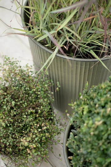 Κεραμικό γλαστράκι Out stripe 3 τεμαχίων - Green - DBKD