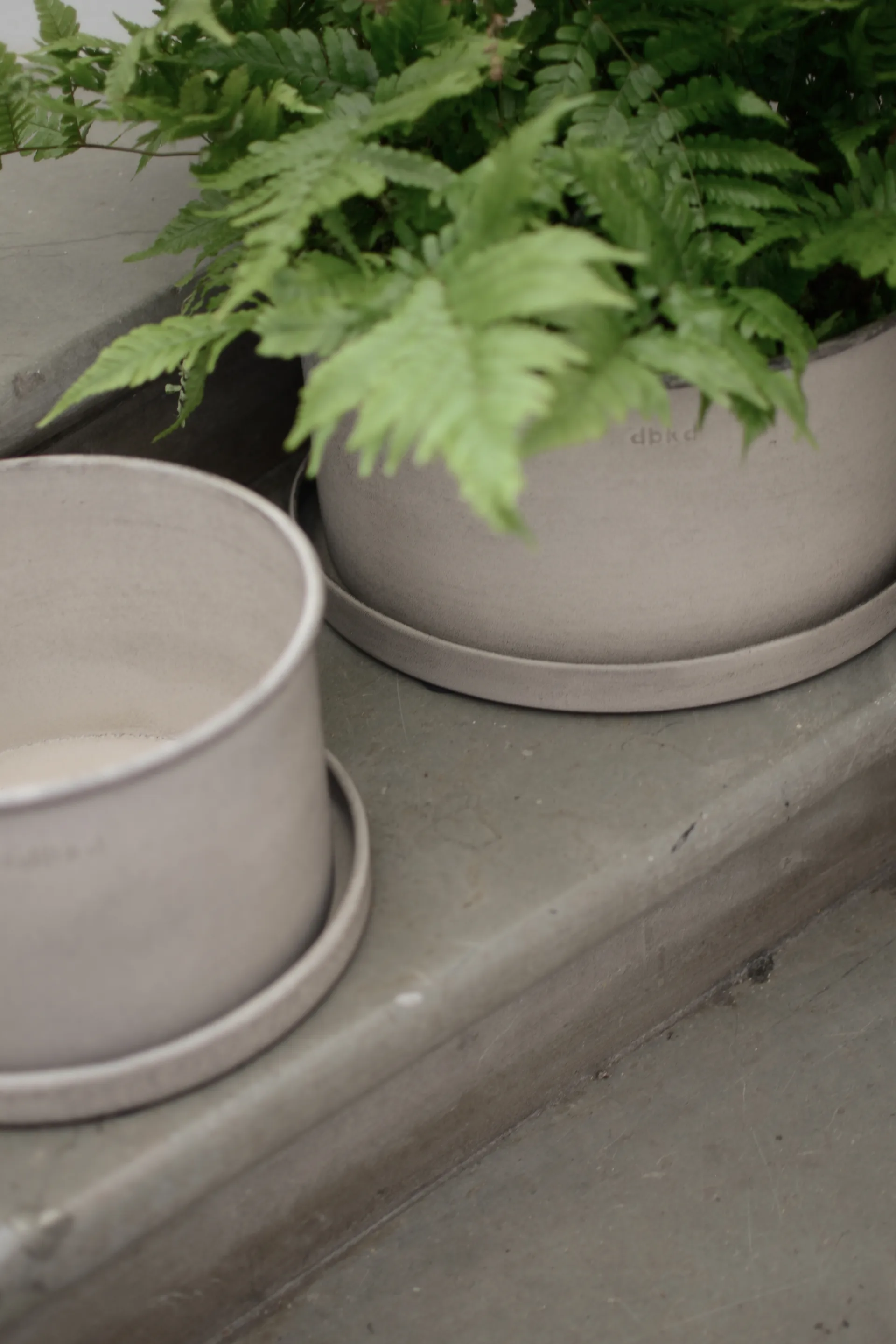 Γλάστρα Plant bowl, Beige DBKD