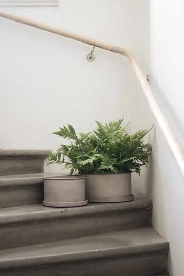 Γλάστρα Plant bowl - Beige - DBKD