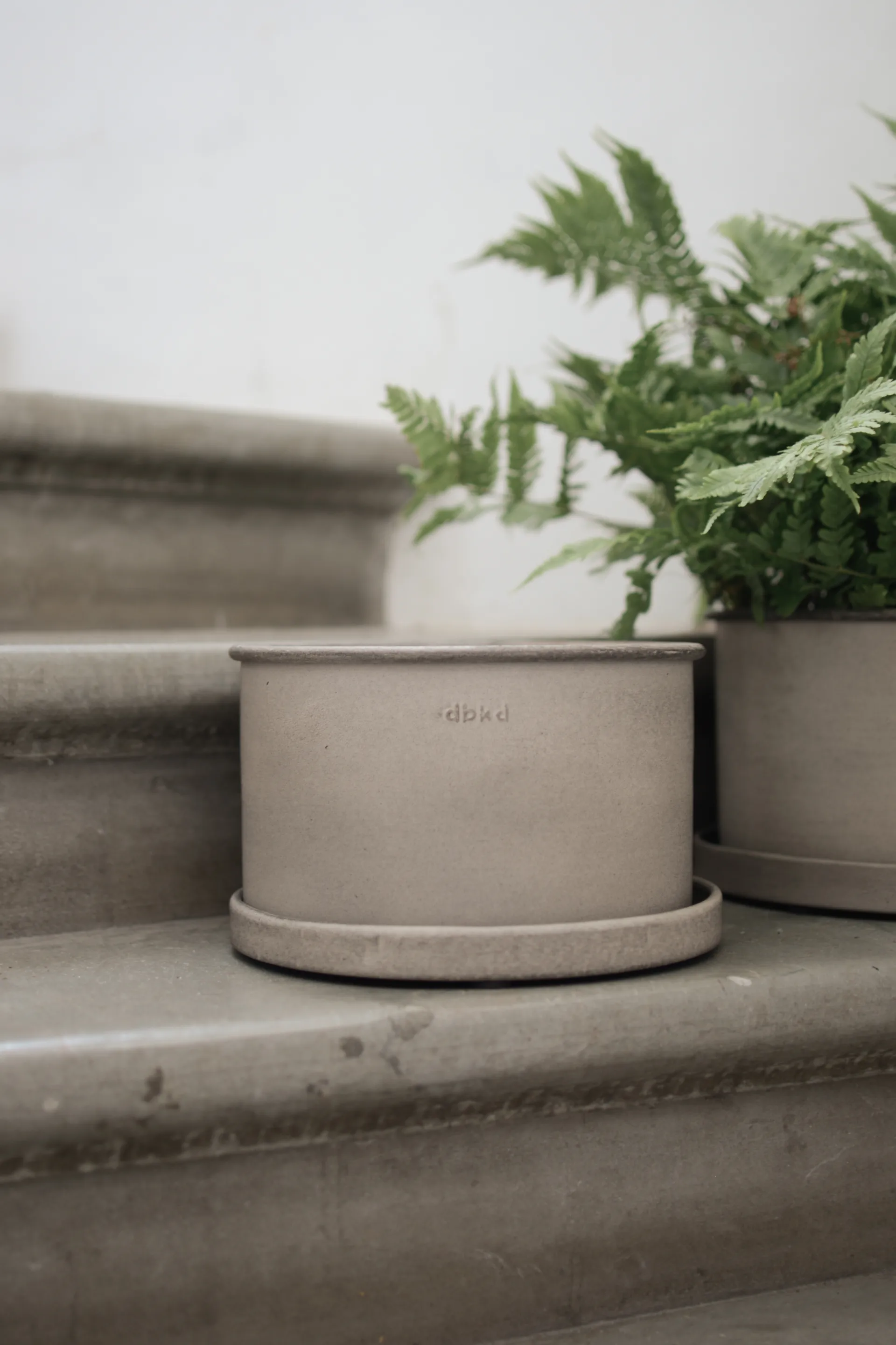 Γλάστρα Plant bowl, Beige DBKD