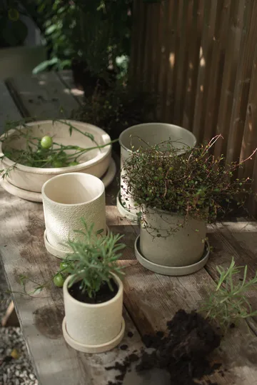 Γλάστρα Plant pot μικρή 2-pack - Beige - DBKD