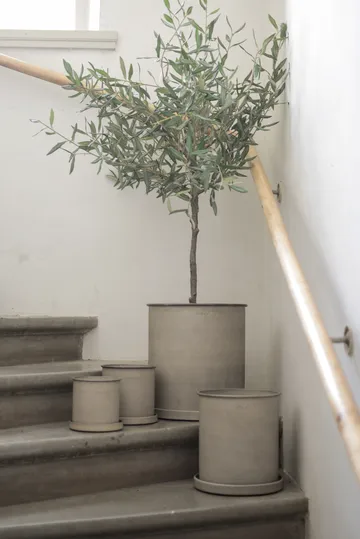 Γλάστρα λουλουδιών Plant pot large 2 τεμαχίων - Beige - DBKD