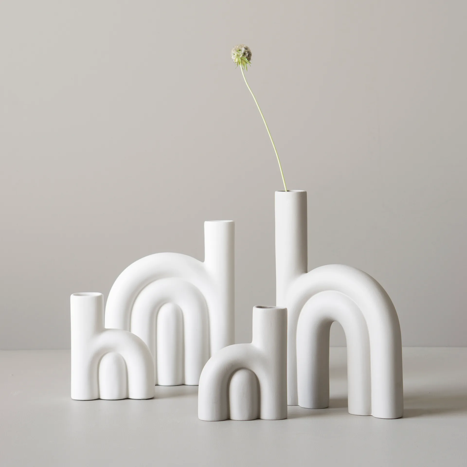 Rope βάζο μικρό, Ασπάλακας DBKD