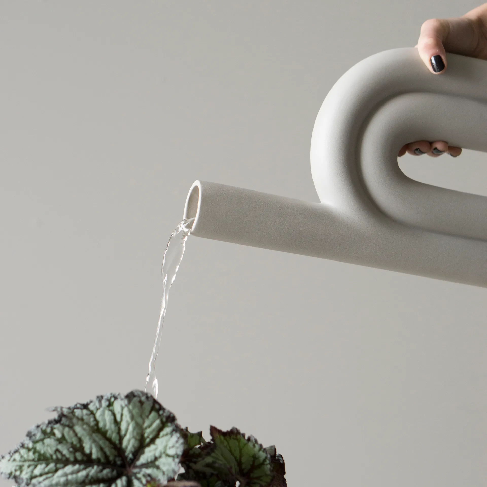 Rope βάζο μεγάλο, Ασπάλακας DBKD