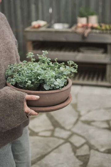 Terra bowl γλάστρα - Brown, Ø30x10,5 cm - DBKD