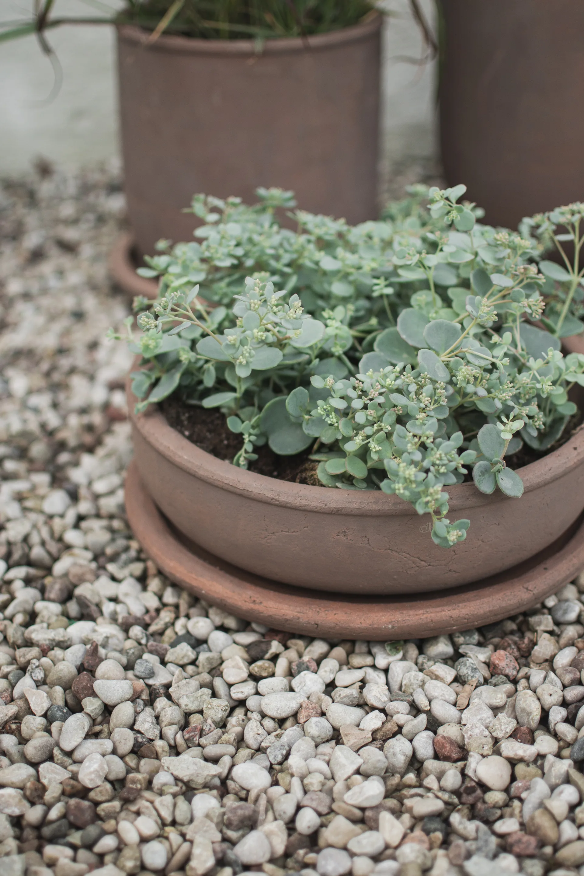 Terra bowl γλάστρα, Brown, Ø30x10,5 cm DBKD