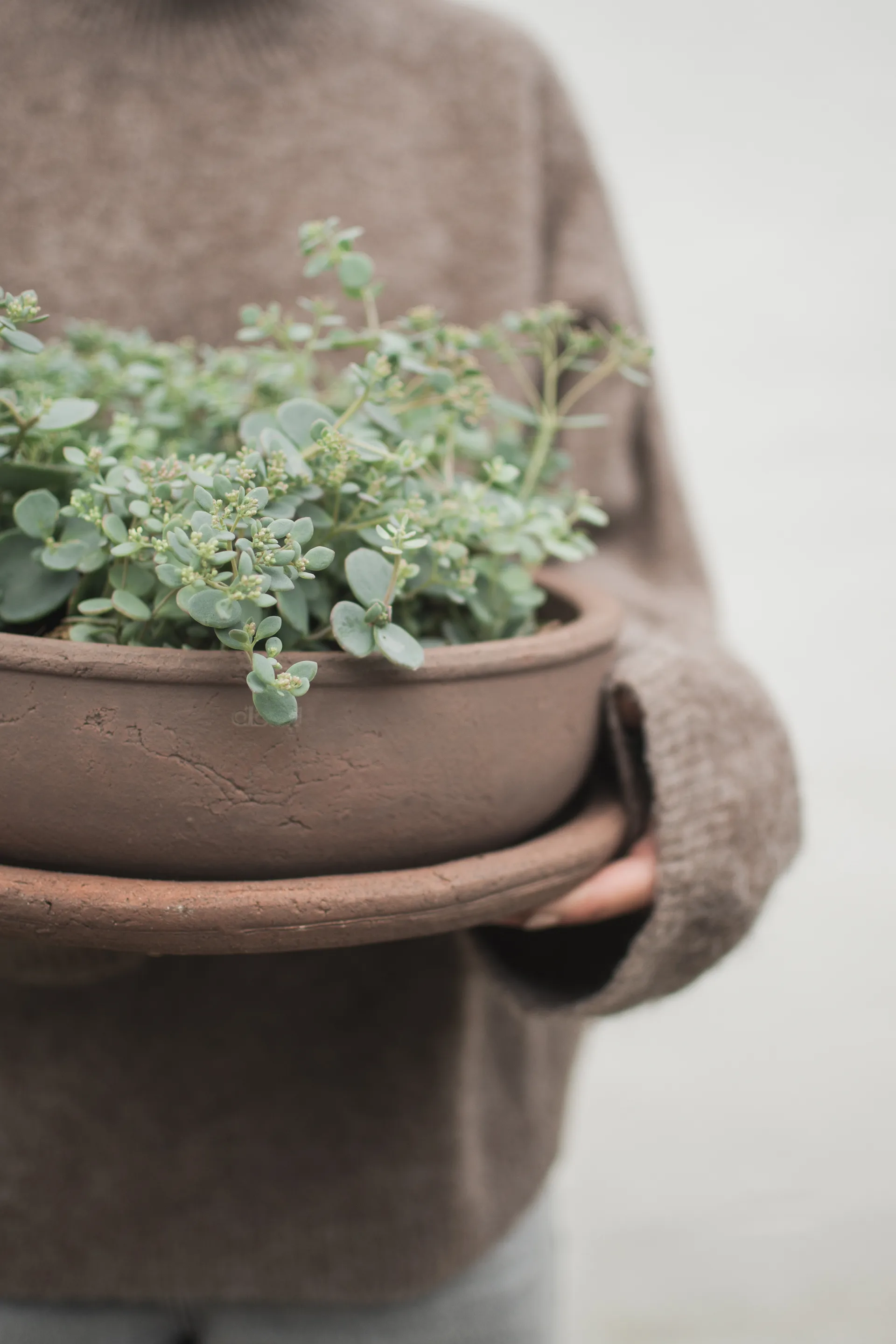 Terra bowl γλάστρα, Brown, Ø30x10,5 cm DBKD