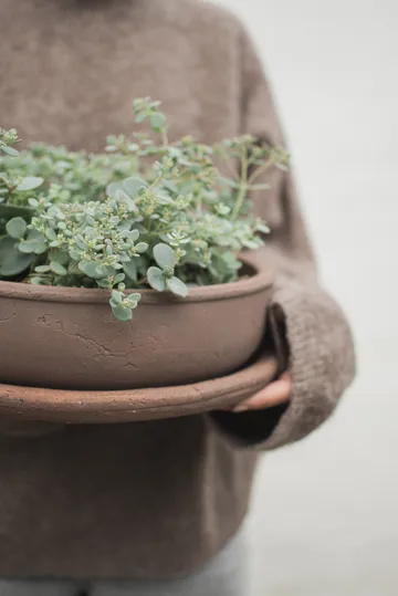 Terra bowl γλάστρα - Brown, Ø30x10,5 cm - DBKD