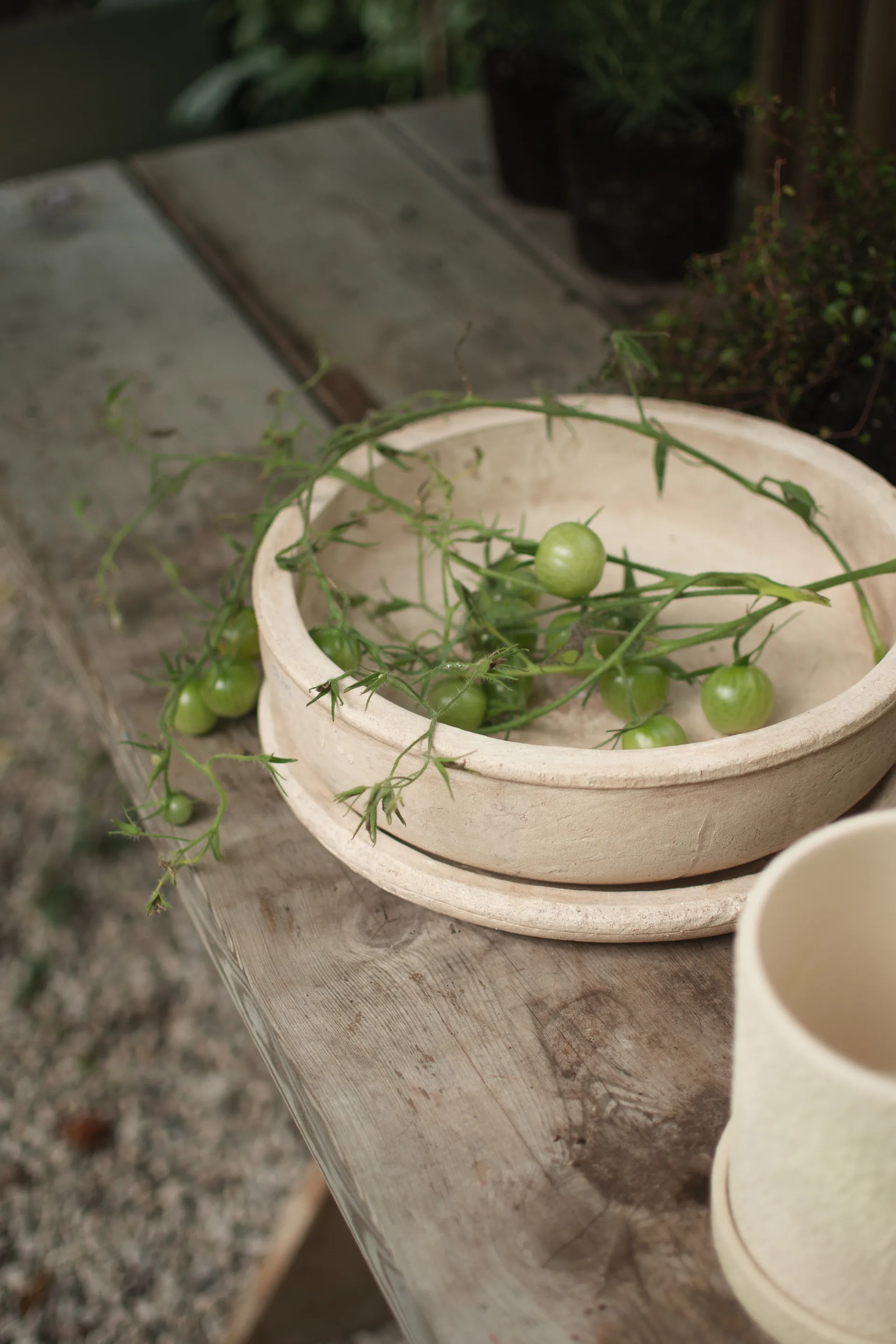 Terra bowl γλάστρα, Sand, Ø30x10,5 cm DBKD