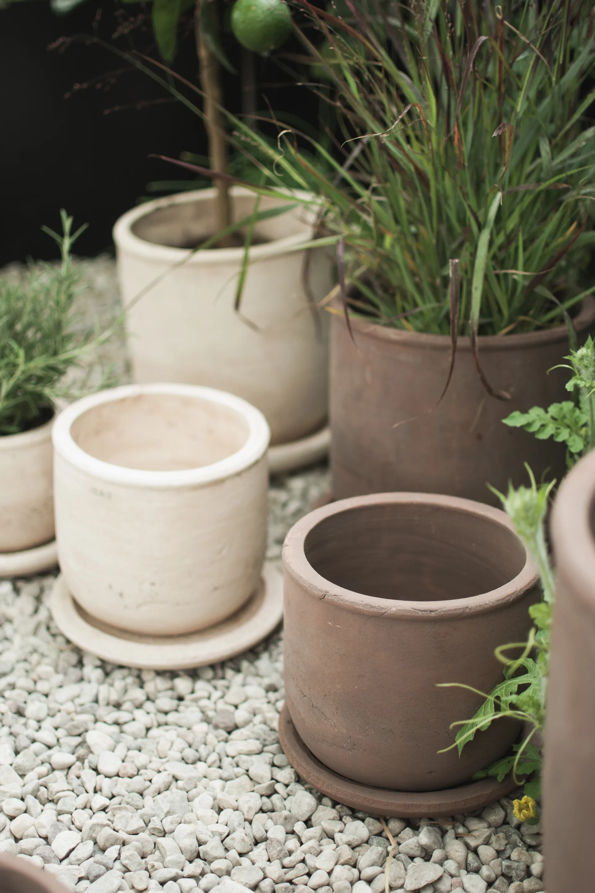 Terra γλάστρα, Brown, Ø18x18 cm DBKD