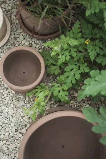 Terra γλάστρα - Brown, Ø33x36 cm - DBKD