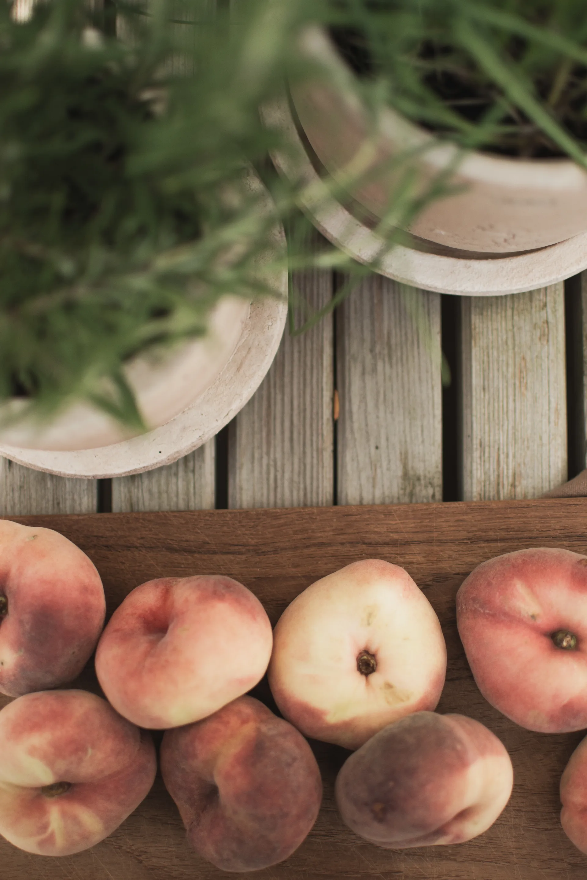 Terra γλάστρα, Sand, Ø16x16 cm DBKD