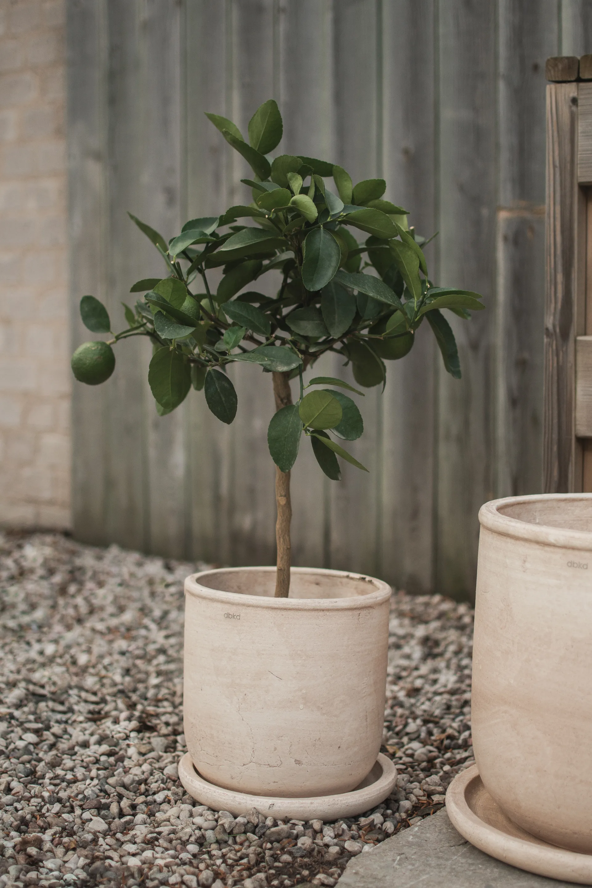 Terra γλάστρα, Sand, Ø23x26 cm DBKD