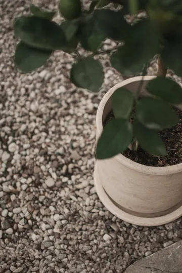 Terra γλάστρα - Sand, Ø23x26 cm - DBKD