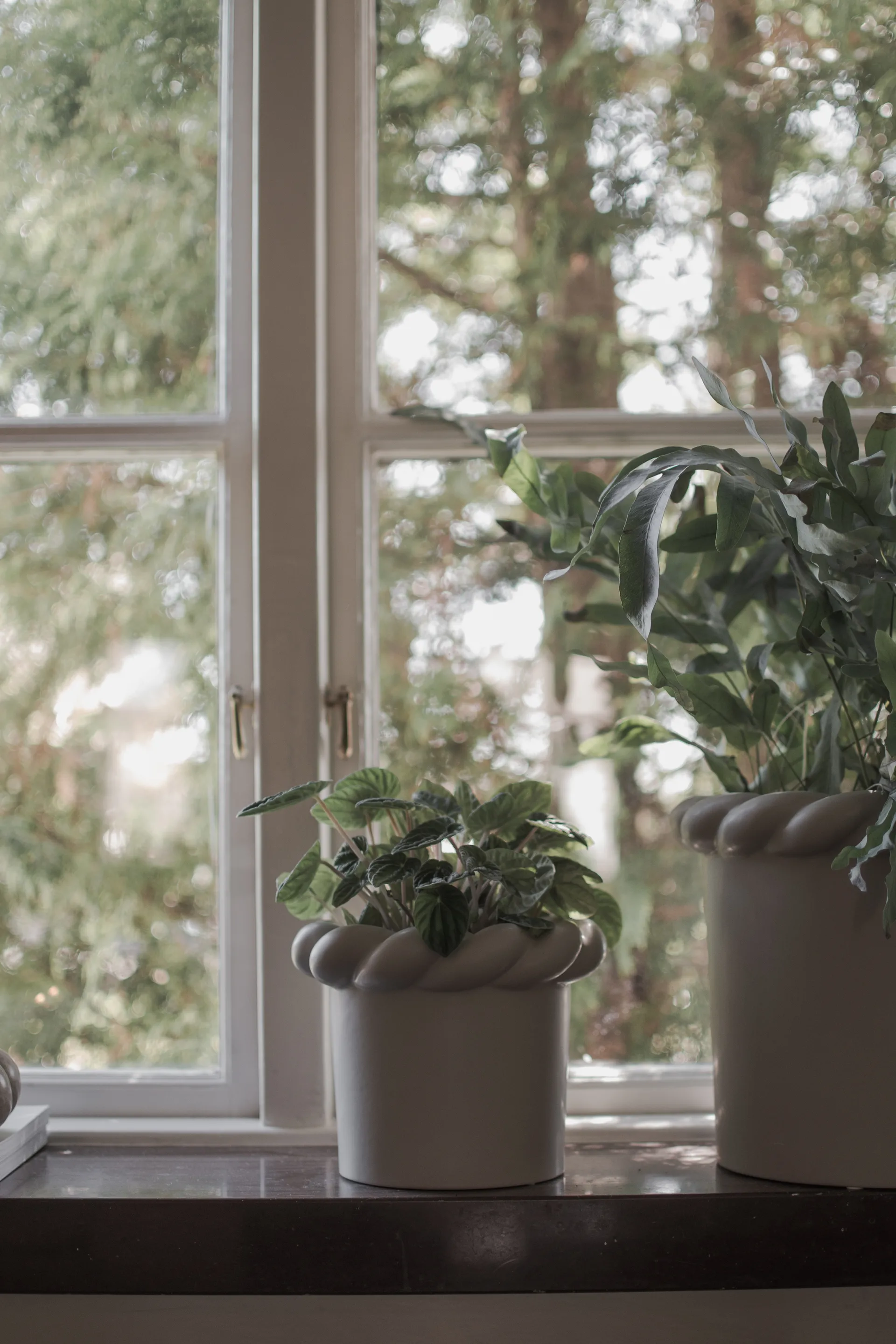 Γλάστρα λουλουδιών Twine διαμέτρου 14 εκ, Mole DBKD