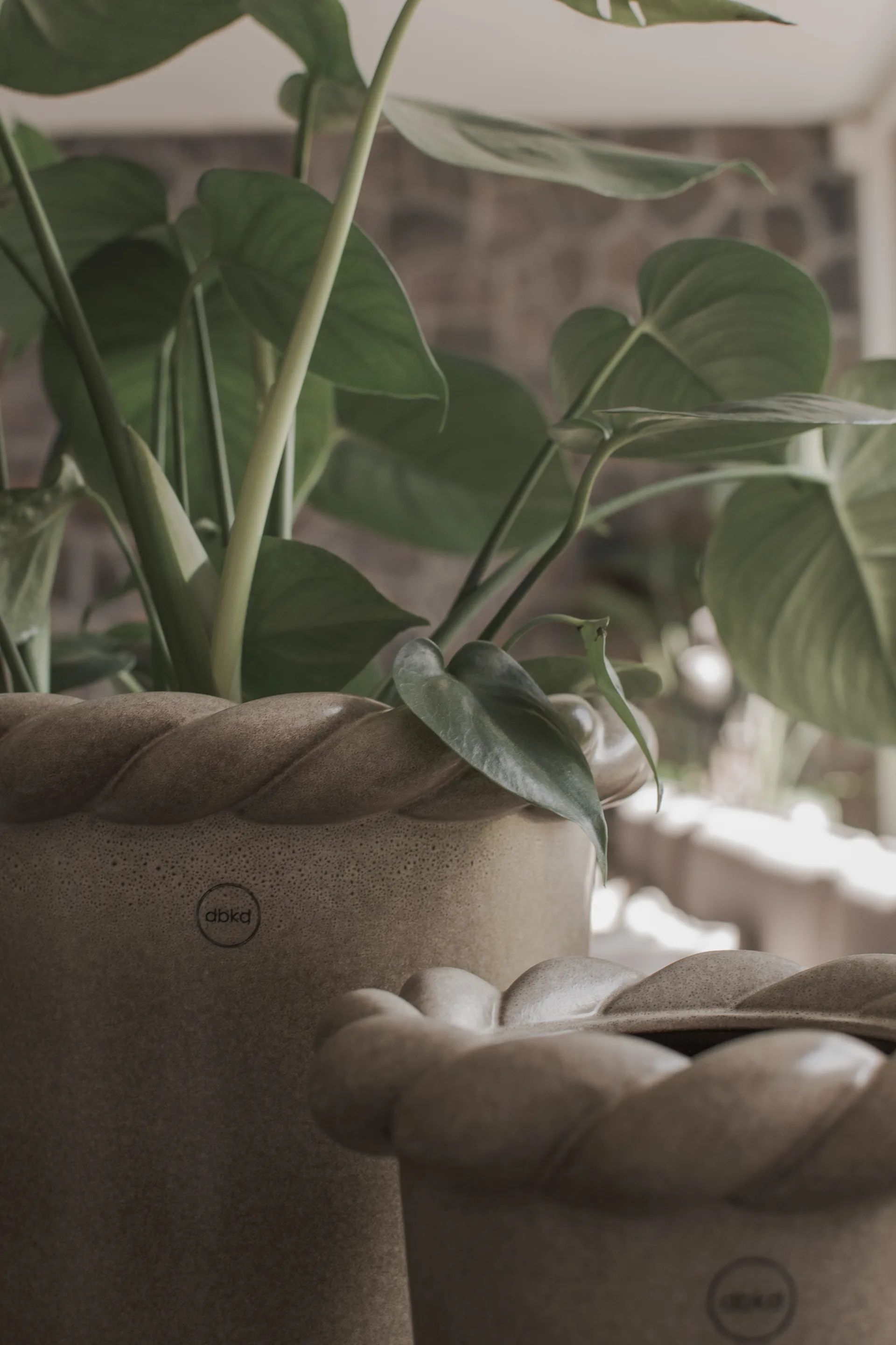 Γλάστρα λουλουδιών Twine 22 εκ, Beige DBKD