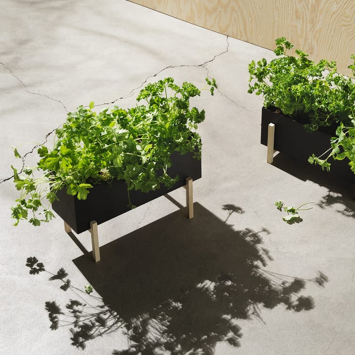 Botanic κουτί για βότανα, μαύρο-δεσποτάκι Design House Stockholm