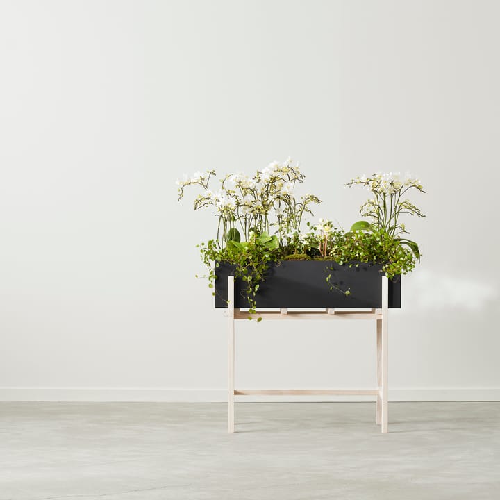 Botanic στήριγμα για λουλούδια, Μαύρο-δεσποτάκι Design House Stockholm