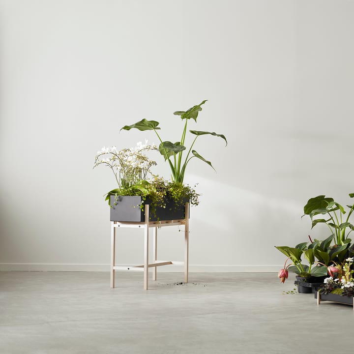 Botanic στήριγμα για λουλούδια, Μαύρο-δεσποτάκι Design House Stockholm