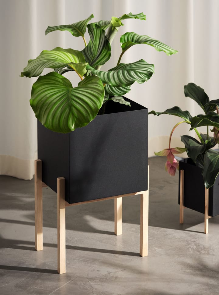 Botanic γλάστρα με πόδια, Μαύρο-δεσποτάκι Design House Stockholm