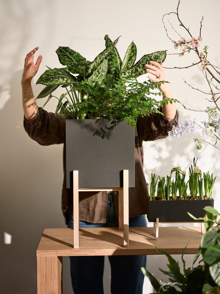 Botanic γλάστρα με πόδια, Μαύρο-δεσποτάκι Design House Stockholm