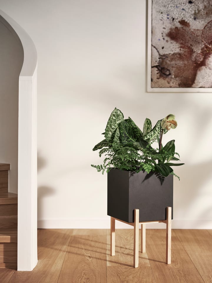 Botanic γλάστρα με πόδια, Μαύρο-δεσποτάκι Design House Stockholm