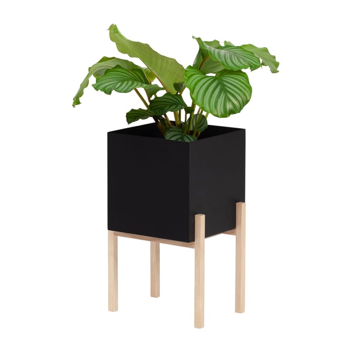 Botanic γλάστρα με πόδια - Μαύρο-δεσποτάκι - Design House Stockholm