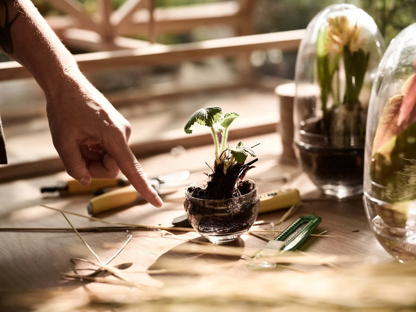 Grow θερμοκήπιο, Μικρό Design House Stockholm