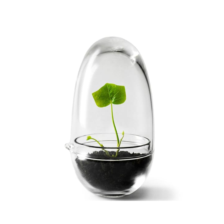 Grow θερμοκήπιο - Μικρό - Design House Stockholm