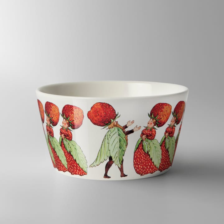 Wild Strawberry Family μπολ - 50 cl - Design House Stockholm