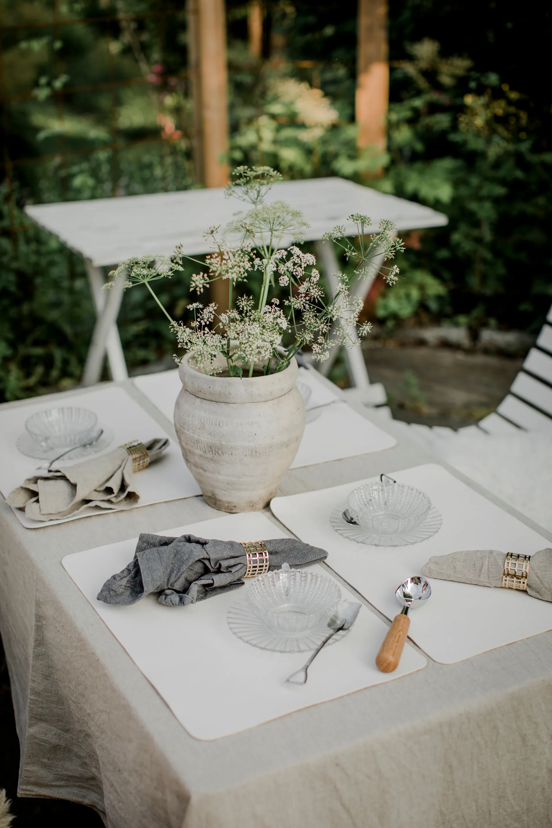 Gladis σέσουλα παγωτού, Δρυς Dorre